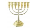 7 Branch Menorah, Two Tone Gold and Silver with Jerusalem Images  Height 8.6