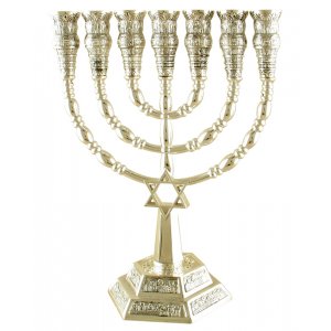 Seven Branch Menorah with Jerusalem Images and Star of David, Silver - 6 or 9.4