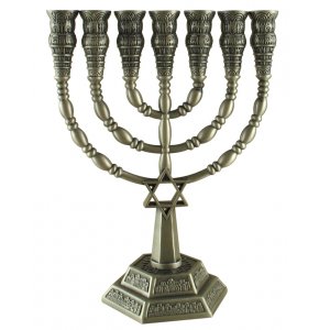 Seven Branch Menorah with Jerusalem Images and Star of David, Pewter  6 or 9.4