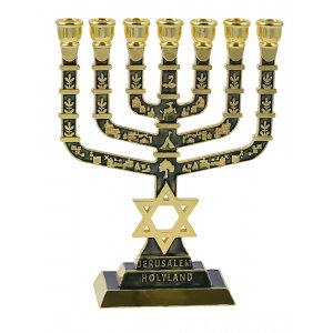 7-Branch Menorah with Star of David & Jerusalem & Judaic Images, Dark Green - 9.5"