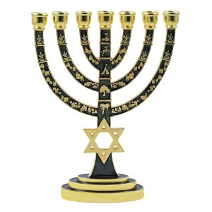 Seven Branch Menorah, Gold with Green Enamel Judaic Symbols and Star of David - 9.5