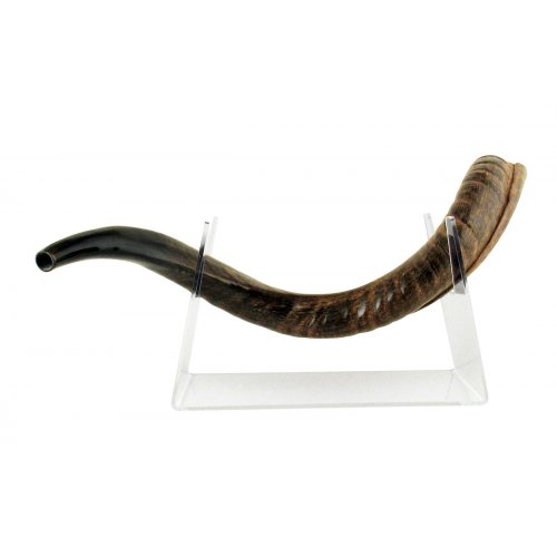 Yemenite Shofar Stand Made of Lucite - for Horns Length 22-40 Inches