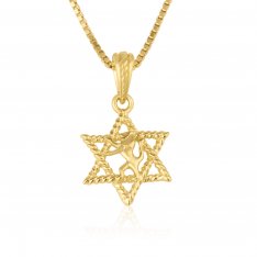 14k Solid Gold Pendant Necklace, Lion Of Judah Image in the Star of David