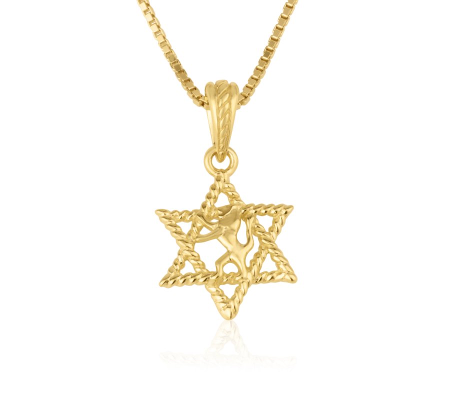 14k Solid Gold Pendant Necklace, Lion Of Judah Image in the Star of David