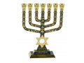 7-Branch Menorah with Star of David & Jerusalem & Judaic Images, Dark Green - 9.5