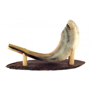 Oval Wood Stand with Kudu Horn Clips - for Ram Shofar Length 11-18 Inches