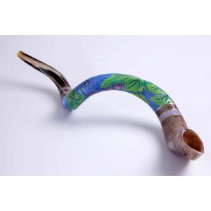 Purple Grapevine Collectors Hand Painted Yemenite Shofar