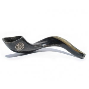 Large Polished Black Rams Horn Shofar 15"-16"