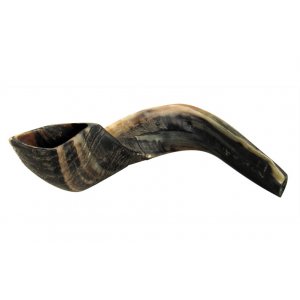 Large Natural Black Rams Horn Shofar 17"-18"