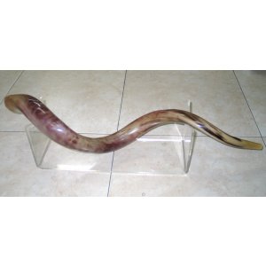 Lucite Extra Large Yemenite Shofar Stand for Horn Lengths 40-52 Inches