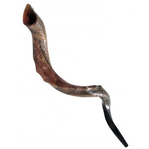 Nostalgia Crown Design Half Natural Half Polished Yemenite Shofar