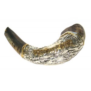 Sterling Silver plated Rams Horn Shofar with Gold