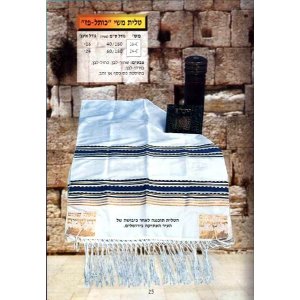 Western Wall Silk Tallit by Talitania - Kotel Paz