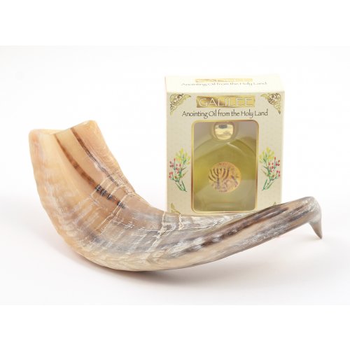 Anointing Ram's Horn Shofar + Galilee Anointing Oil Frankincense and Myrrh