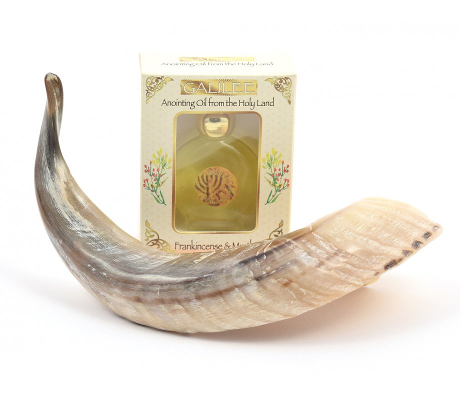 Anointing Ram's Horn Shofar + Galilee Anointing Oil Frankincense and Myrrh