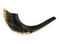 Black Natural Rams Horn Shofar - Medium 13
