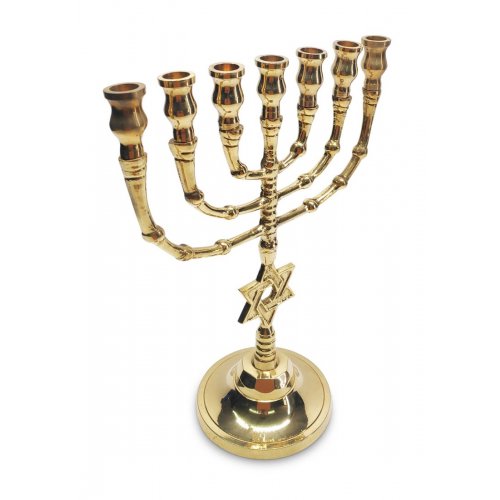 Brass Seven Branch Menorah, Gleaming Gold with Decorative Star of David on Stem - 10