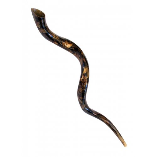 Collectors Hand Painted Kudu Shofar with Gold Grapevine