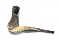 Extra Large Black Rams Horn Shofar - Natural Finish 19