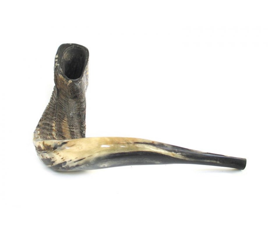 Extra Large Black Rams Horn Shofar - Natural Finish 19