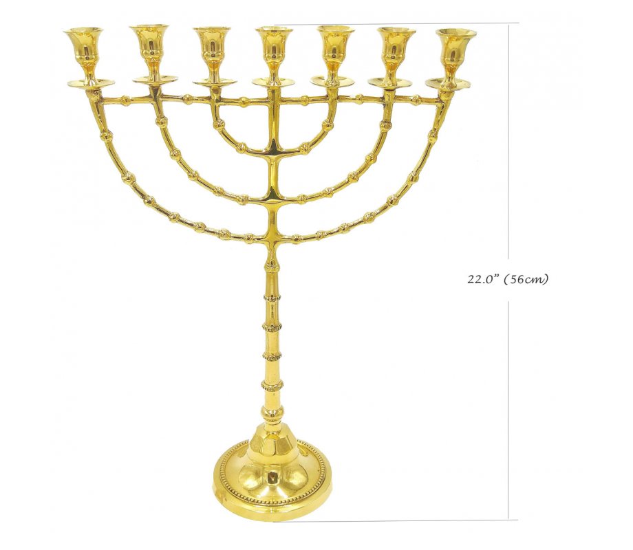 Extra Large Gold Colored Seven Branch Menorah, Brass  22
