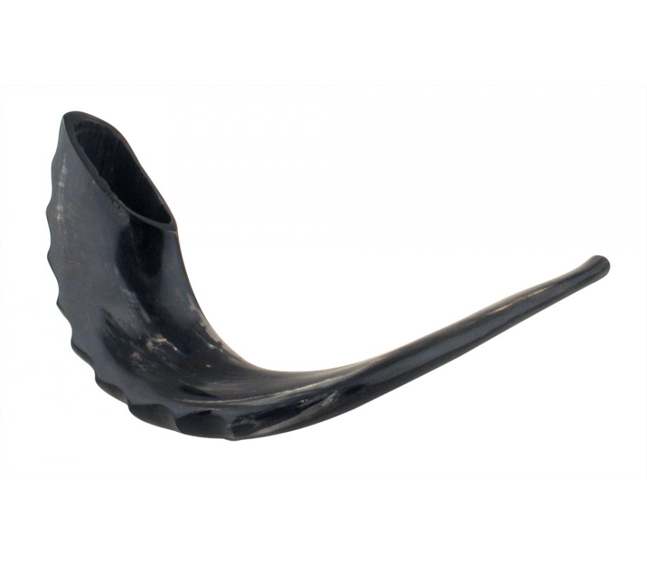 Extra Large Polished Black Rams Horn Shofar - 19
