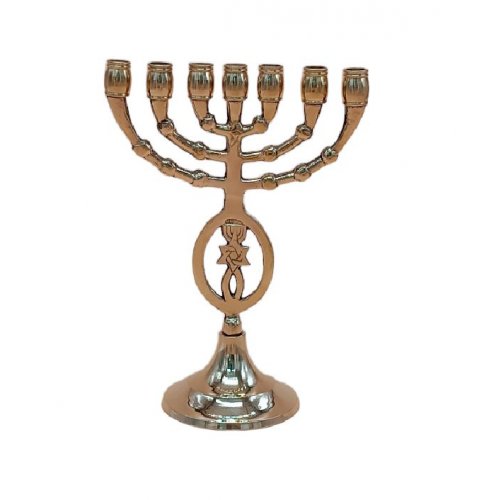 Gold Brass Seven Branch Menorah, Star of David and Fish Decoration  8