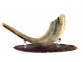Hand Crafted Wood Shofar Stand with Lucite Clips - For Rams Horn 11-18 Inches long