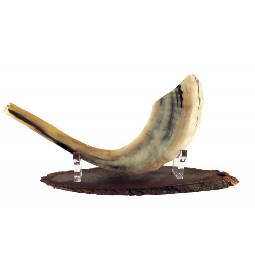 Hand Crafted Wood Shofar Stand with Lucite Clips - For Rams Horn 11-18 Inches long
