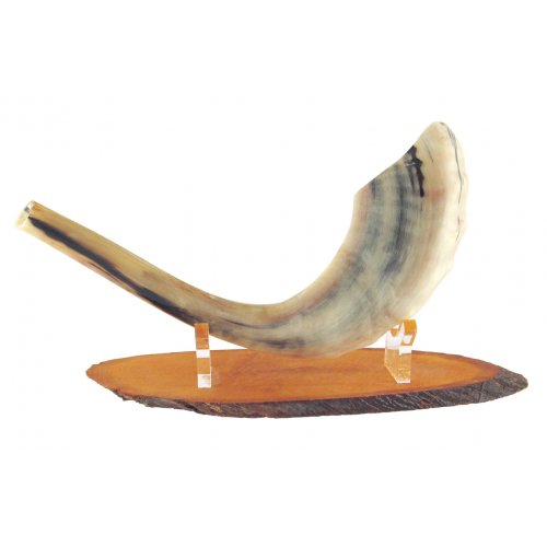 Hand Crafted Wood Shofar Stand with Lucite Clips - For Rams Horn 11-18 Inches long