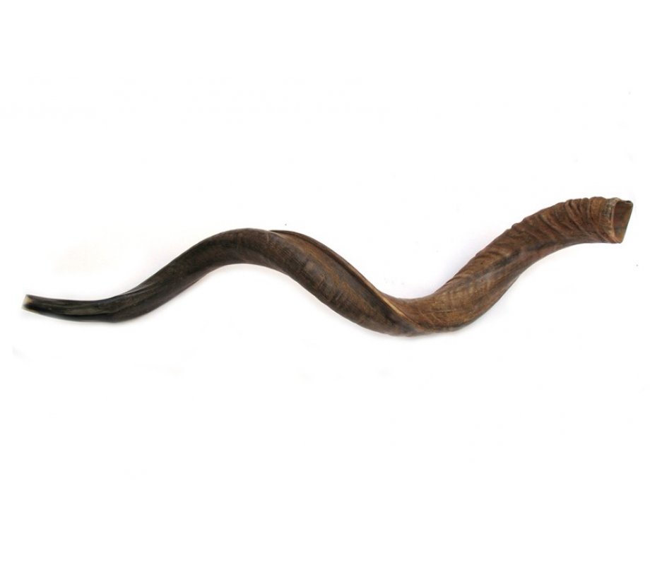 Jumbo Yemenite Natural Shofar - Natural 47