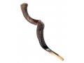 Jumbo Yemenite Shofar Kudu Horn Half Polished Half Natural Finish 45