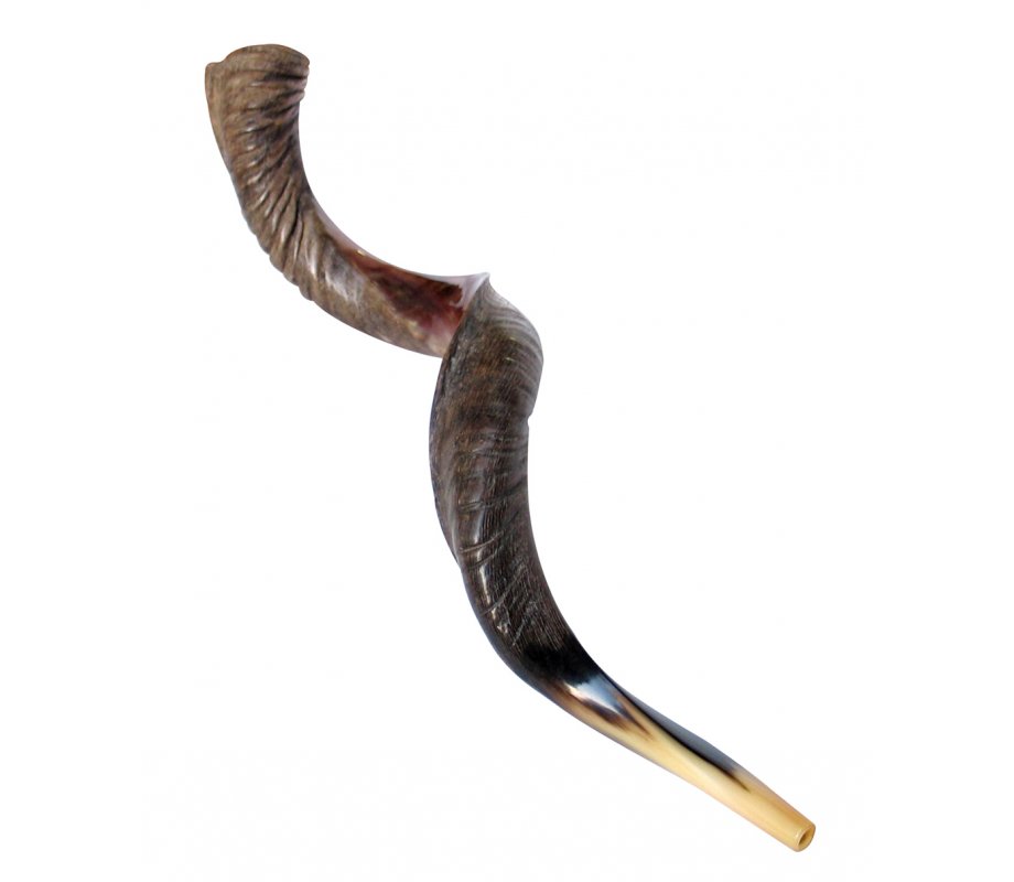 Jumbo Yemenite Shofar Kudu Horn Half Polished Half Natural Finish 45