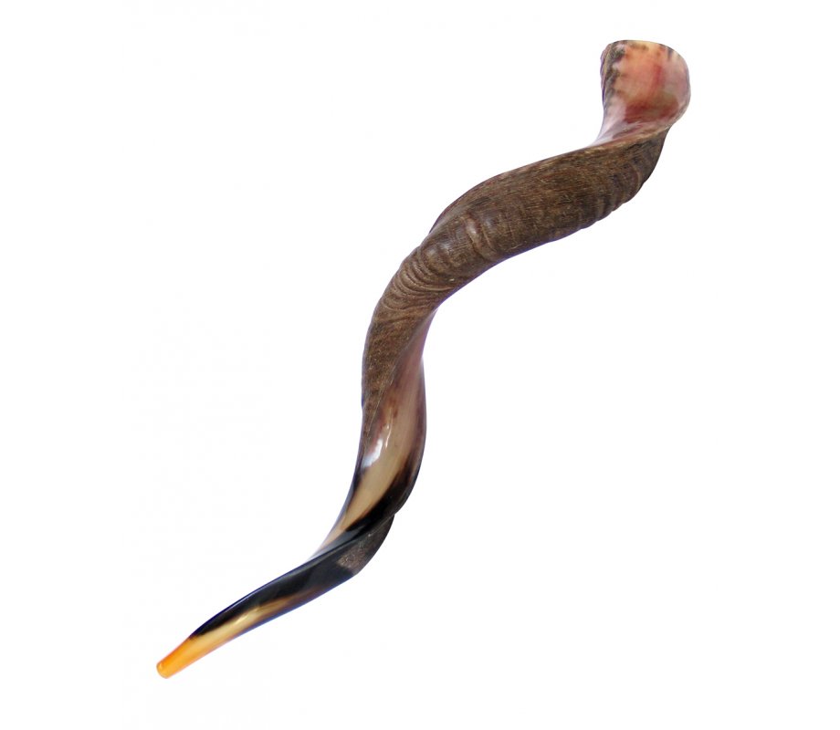 Jumbo Yemenite Shofar Kudu Horn Half Polished Half Natural Finish 45