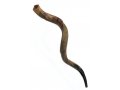 Jumbo Yemenite Shofar Kudu Horn Half Polished Half Natural Finish 47