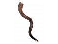 Large Natural Yemenite Shofar Kudu Horn 37