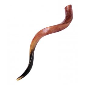 Cuerno Yemenita Kudu Shofar Medio Pulido 88cm | Meses Sin Interés