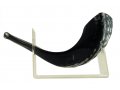Lucite Shofar Stand for Small Ram Shofar Horn Length Up To 15 Inches