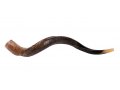 Medium Natural Yemenite Shofar Kudu Horn 29