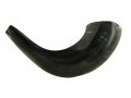 Medium Polished Black Rams Horn Shofar 13