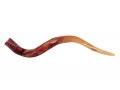 Medium Polished Yemenite Shofar Kudu Horn 29