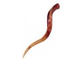 Medium Polished Yemenite Shofar Kudu Horn 29