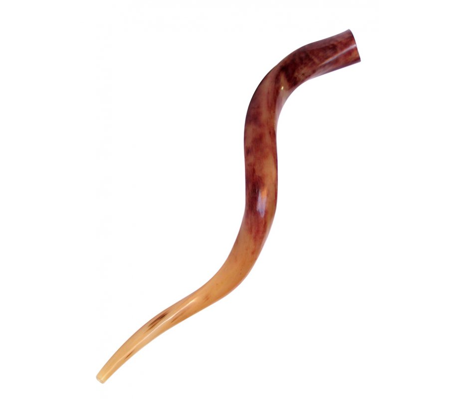 Medium Polished Yemenite Shofar Kudu Horn 29