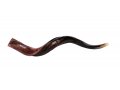 Medium Yemenite Shofar Half Polished Half Natural - Medium 32