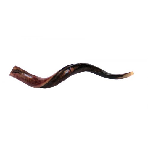 Medium Yemenite Shofar Half Polished Half Natural - Medium 32