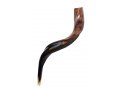 Medium Yemenite Shofar Half Polished Half Natural 26