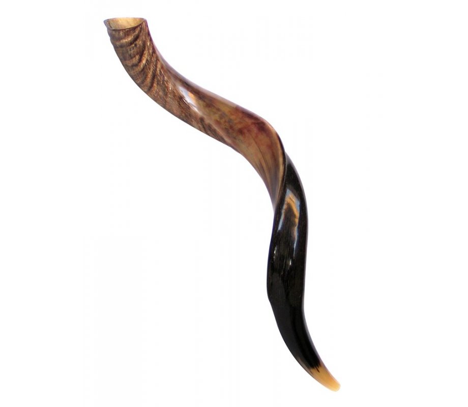 Medium Yemenite Shofar Half Polished Half Natural 26