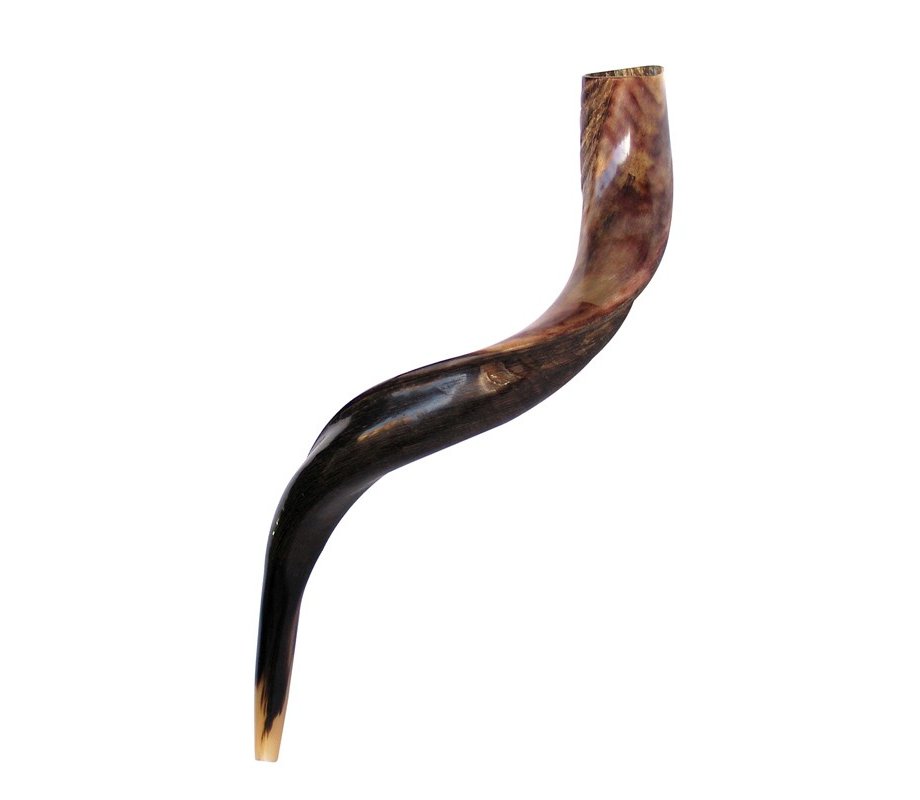 Medium Yemenite Shofar Half Polished Half Natural 26