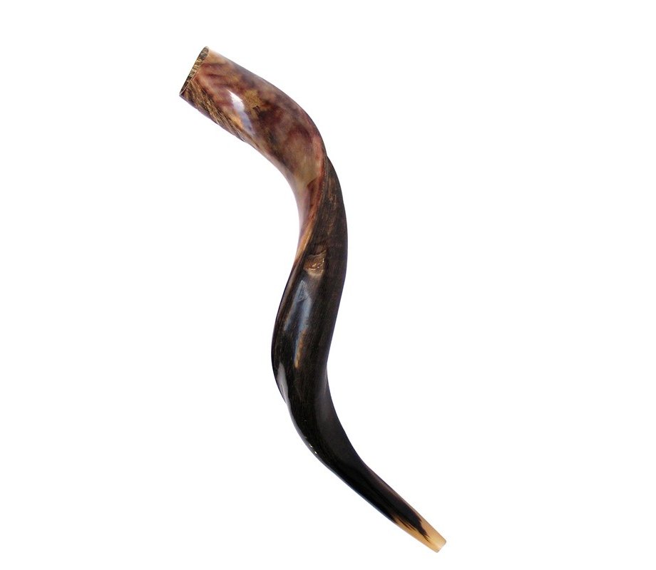 Medium Yemenite Shofar Half Polished Half Natural 26