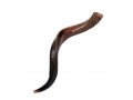 Medium Yemenite Shofar Half Polished Half Natural 29